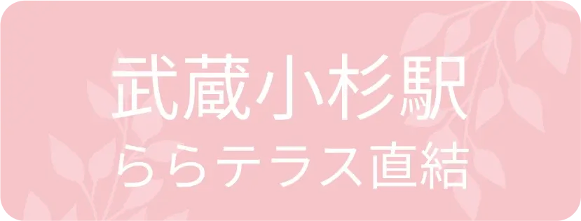 武蔵小杉駅 ららテラス直結
